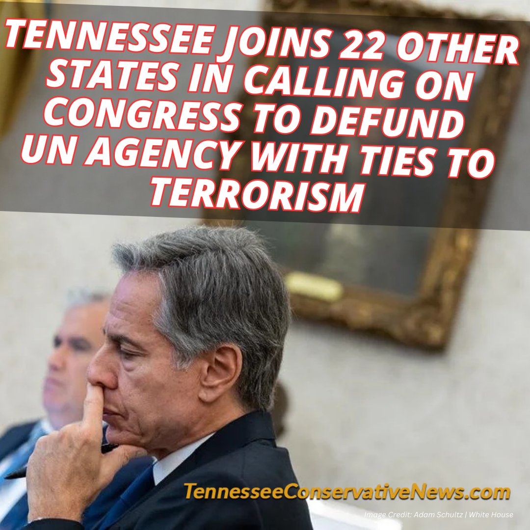 Tennessee Conservative News (@TnCoNews1) on Twitter photo 2024-05-09 13:00:02
