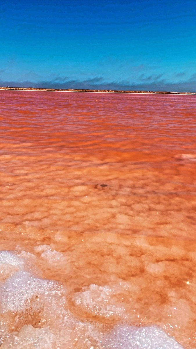 Slow124's tweet image. 