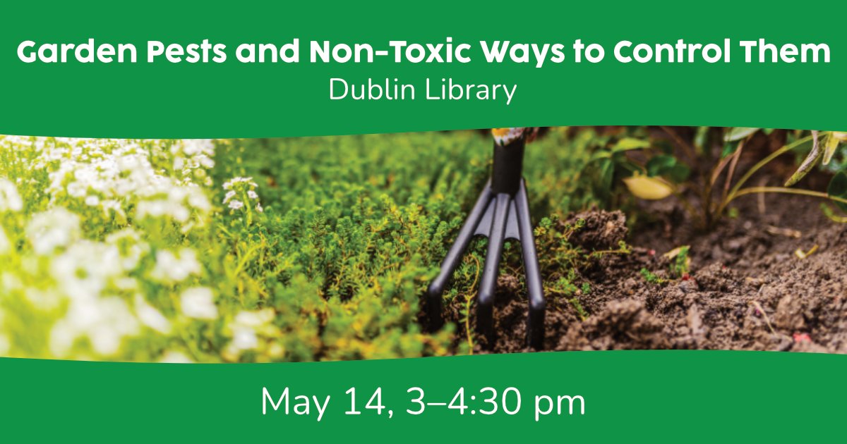 aclib's tweet photo. Pests are an unfortunate but manageable part of the gardening experience. Learn easy and budget-friendly non-toxic pest control techniques to help tackle and prevent typical garden pests. Join our workshop at #DublinLibrary on May 14 from 3 – 4:30 pm. https://t.co/rQQwUS0ZJf https://t.co/HfqKHLhSWp