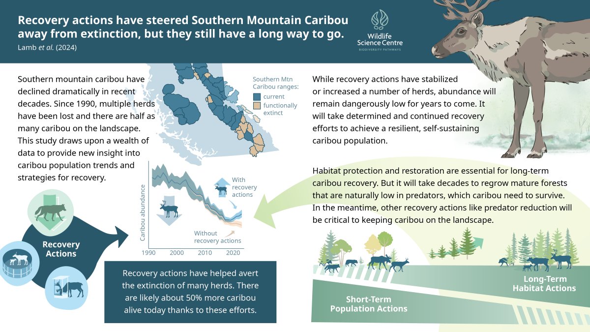 On May 16, join Wildlife Scientist Clayton Lamb for a webinar on the recent paper "Effectiveness of population-based recovery actions for threatened southern mountain caribou".

Register to receive info on how to join: us02web.zoom.us/meeting/regist…
