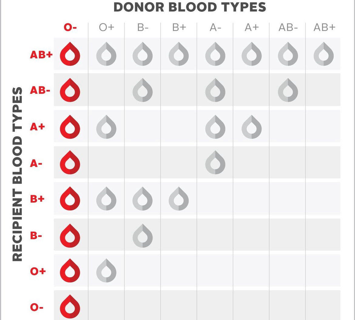 Only 7% of Canadians share this blood type — a small percentage with a huge impact 🤯 Do you have O-negative blood? Your community needs you. Book your blood donation today at the link in our bio.