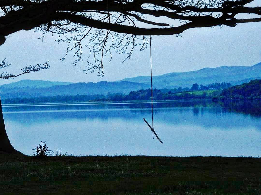 Bassenthwaite Lake Rope Swing at dusk #cumbria #photography #lakedistrict