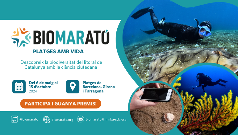 🚨Un any més us animem a participar en la #BioMARató, una competició amistosa de #ciènciaciutadana per recopilar dades de la biodiversitat marina de la costa catalana! 📆 6 maig - 15 octubre @MINKA_Catalunya @FECDAStwit @PlanctonDivulga @anellides @oceanicos.2017 @bioplatgesmet