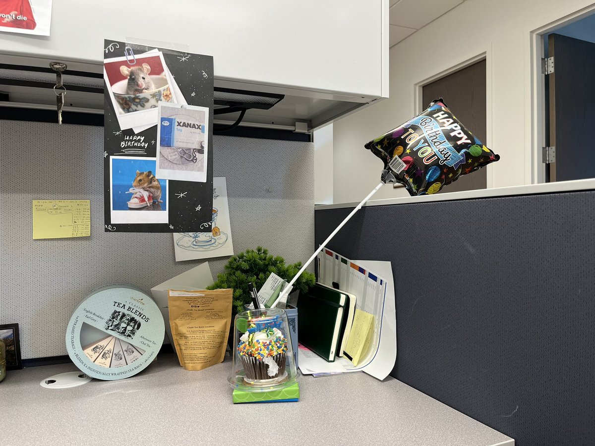 Kameron Kaplan (@kamkaplanrfums) on Twitter photo I have the best lab! 😁 
<a href="/HunsbergerLab/">Dr. Holly Hunsberger</a> <a href="/Lainey10yes/">Lainey (gone to 💙☁️)</a> I have the best lab! 😁 
<a href="/HunsbergerLab/">Dr. Holly Hunsberger</a> <a href="/Lainey10yes/">Lainey (gone to 💙☁️)</a>