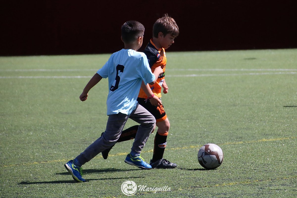 GALERÍA | 📸

⚽️ Imágenes de la concentración de nuestros equipos prebenjamines del pasado viernes. ¡Vamos naranjas!🧡

📷 @mariquilla2999

#PensandoEnNaranja
#VamosNaranjas🧡