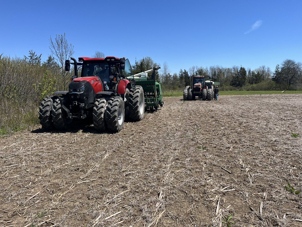 Big Island Seeds tweet media