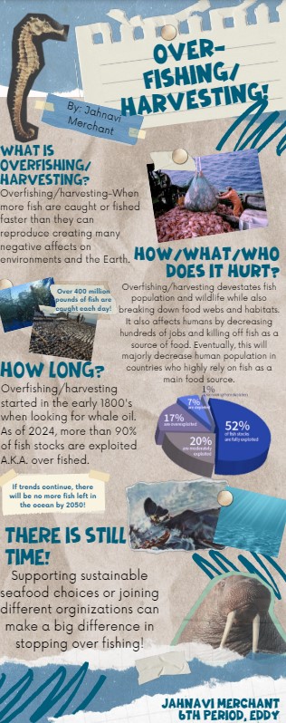 BerryMiller_JH's tweet image. Just in time for summer🌞. #IPC classes completed #OceanProtection infographics to raise awareness for how we positively &amp;amp; negatively impact our oceans &amp;amp; what we can do to help. Here is a sample of the great work Bobcats produced! ❤️💙🐾🌊#Believe #WeAreMiller #BuildPearlandProud