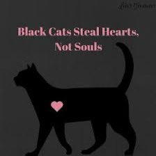 #BlackCats