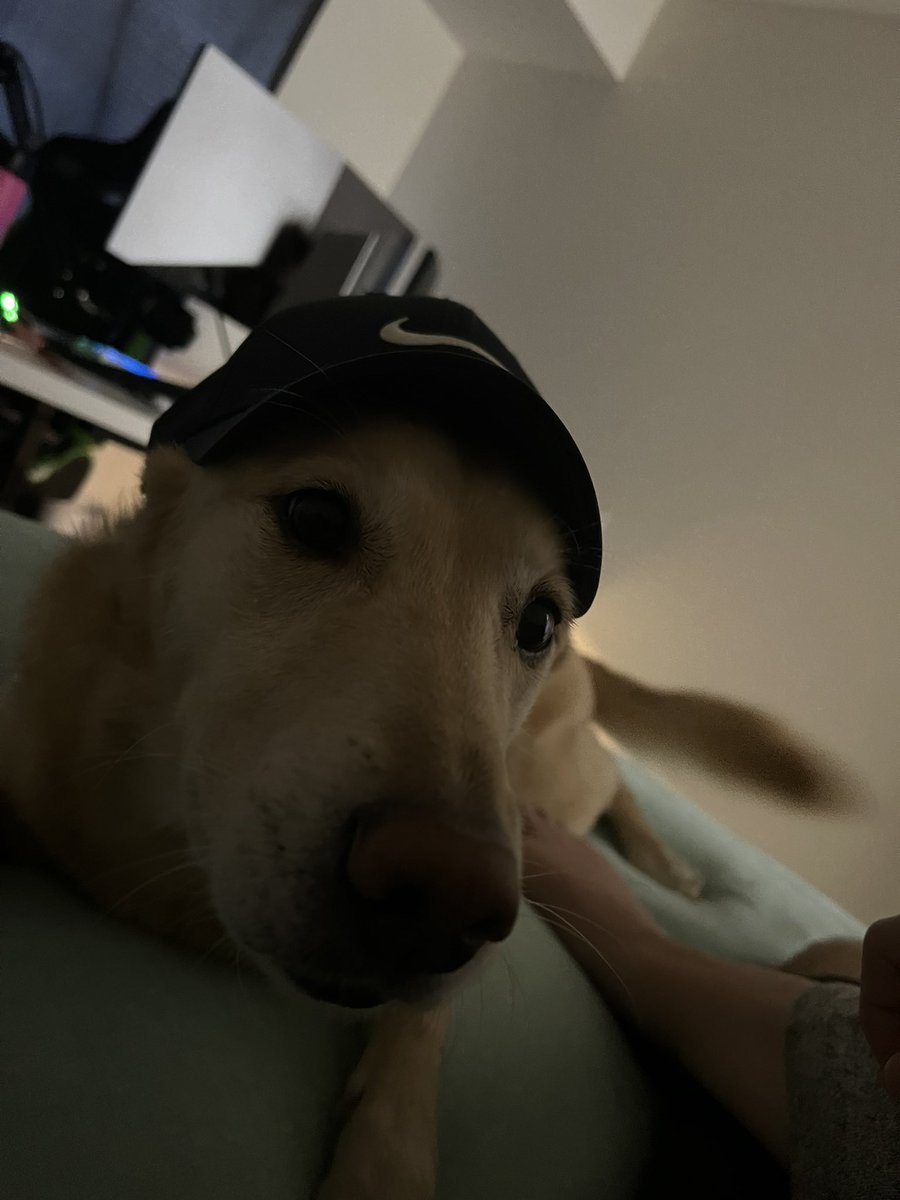 RedRebelRob tweet media