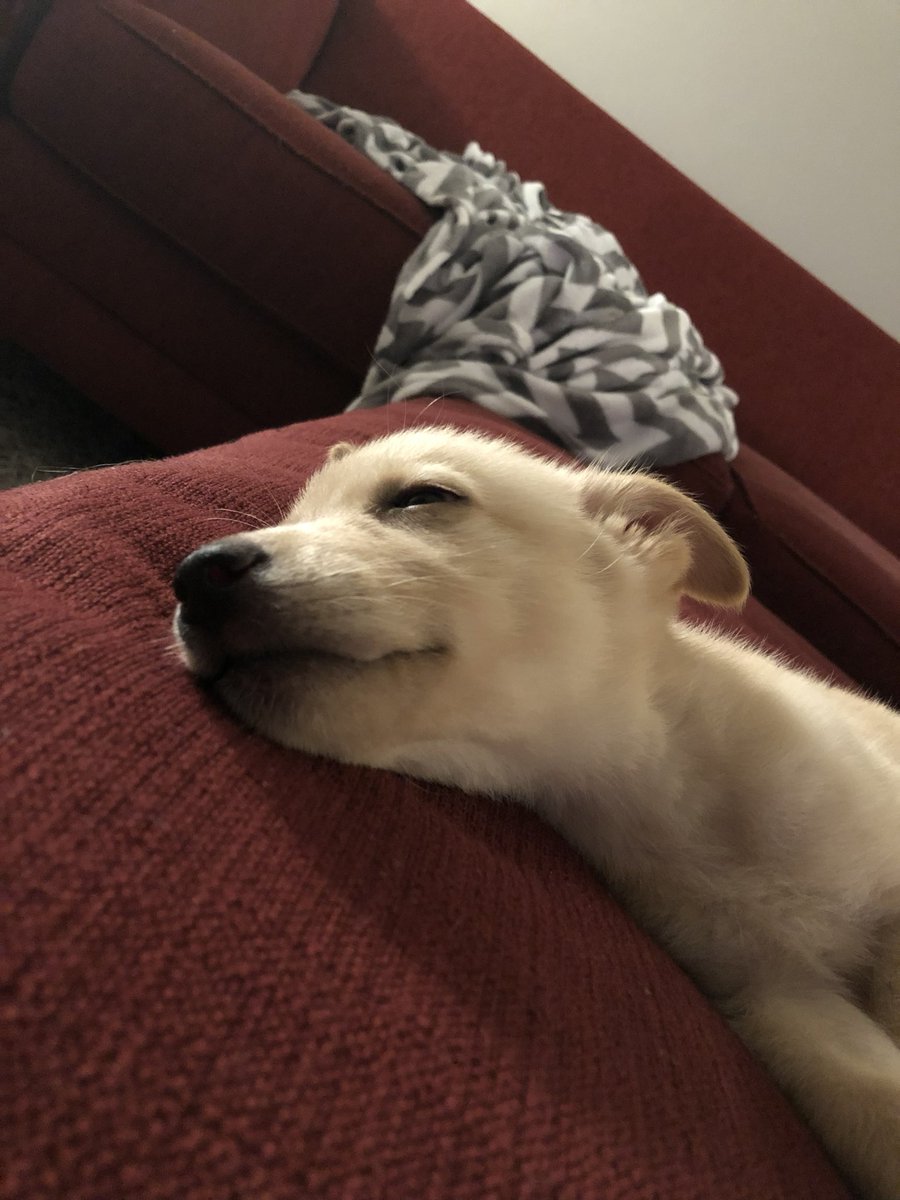 RedRebelRob tweet media