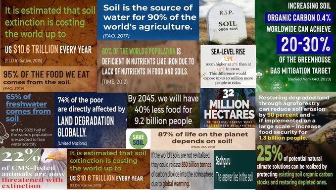 Soil is the source of water for 90% of the world's agriculture.
#SaveSoil 
#ConsciousPlanet 
@cpsavesoil