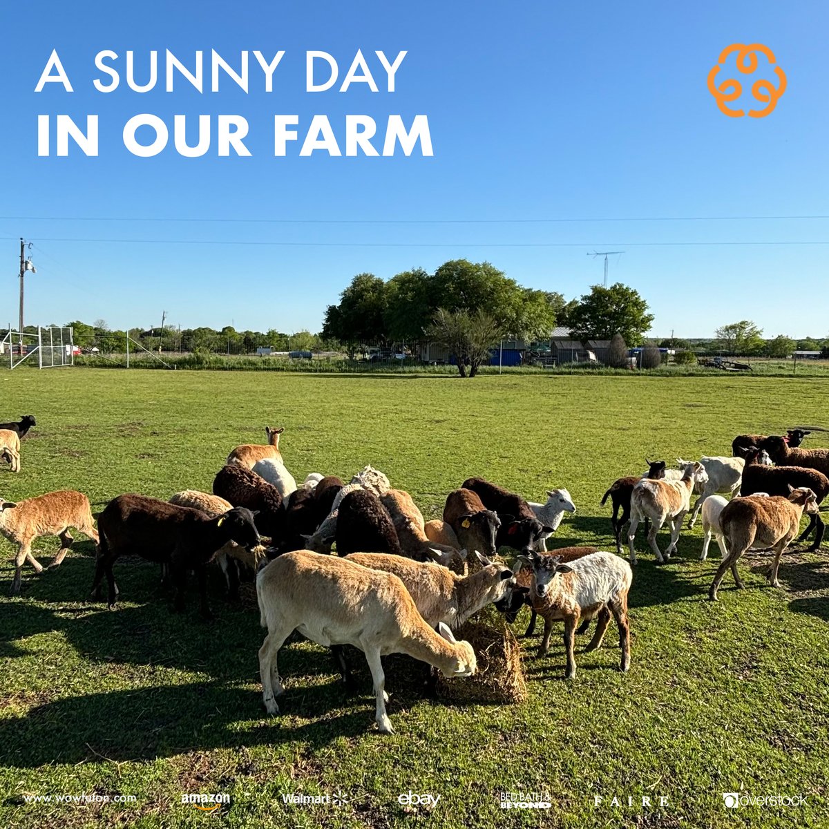 💤 The sun shines on our farm, where fun and natural miracles are always present.

🧡 Discover more at WoWFuton.com

#wowfuton
#organicsleep
#organicbedding
#amazon
#walmart
#ebay
#overstock
#bedbathandbeyond
#faire