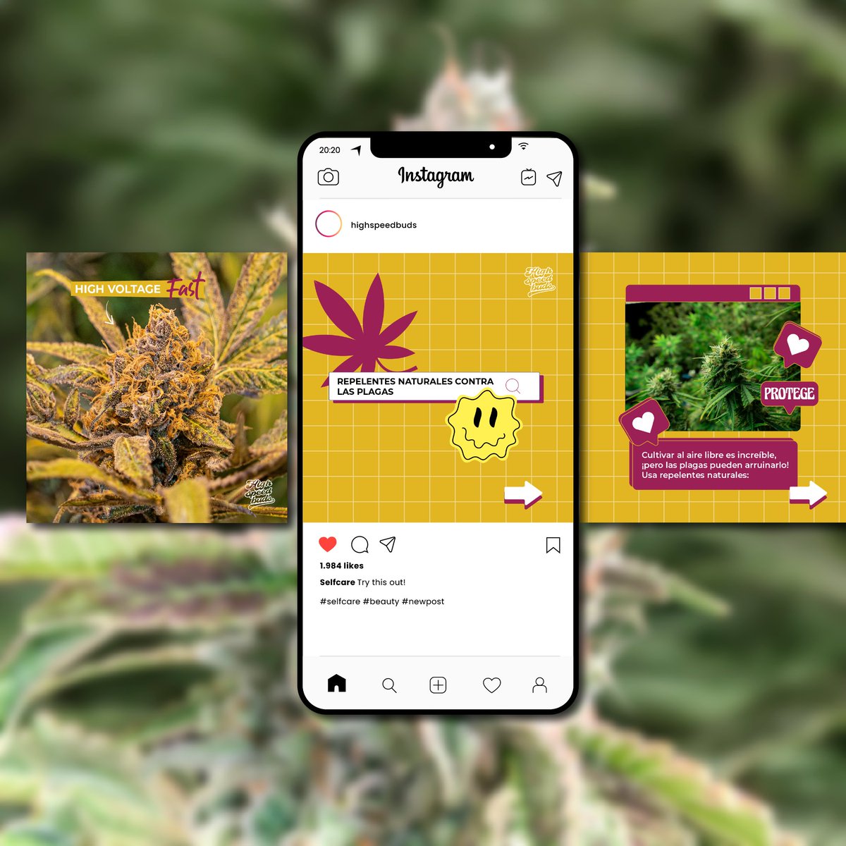 aqui_marketing's tweet photo. 🎉 High Speed Buds + #𝗔𝗾𝘂í𝗛𝗮𝘆𝗠𝗮𝗿𝗸𝗲𝘁𝗶𝗻𝗴 = 🌱💡 ¡Éxito asegurado! 💥

🌿 Revolucionando el cultivo del cannabis con estrategias de marketing que germinan éxito. Cada clic, una oportunidad. 📈

🌐 Web: https://t.co/7YkbFWhVeF

#HighSpeedBuds #ÉxitoEnRedes https://t.co/Q8MQRmZUlY