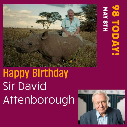🎉🌍 Happy Birthday to the legendary David Attenborough! 🎂🎈 Your passion for nature and dedication to conservation have inspired millions around the world. 🌿✨ Thank you for bringing the wonders of the natural world into our homes and hearts. 🦁🐋 Let's celebrate by continuing
