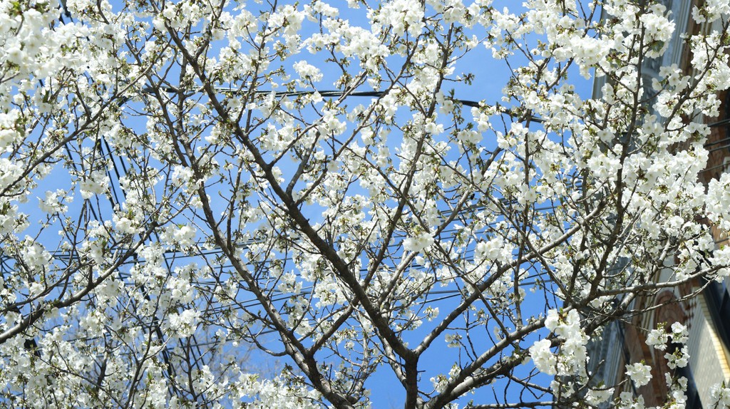 TheNoticeBlog's tweet image. #melanin #photos #travel #blackness #portraitphotography 
#photographer #vibes #portrait #beautiful #photography #picoftheday #creative #photo #memories #photoshoot #event #photographylovers