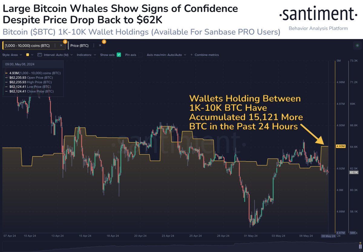 🐳 As #Bitcoin ranges tightly between $61K and $64K, large whales have made some accumulation moves over the past 24 hours. Wallets with 1K-10K $BTC have collectively accumulated ~$941M worth of coins, rebounding to their highest holding level in 2 weeks. app.santiment.net/charts/btc-1k-…