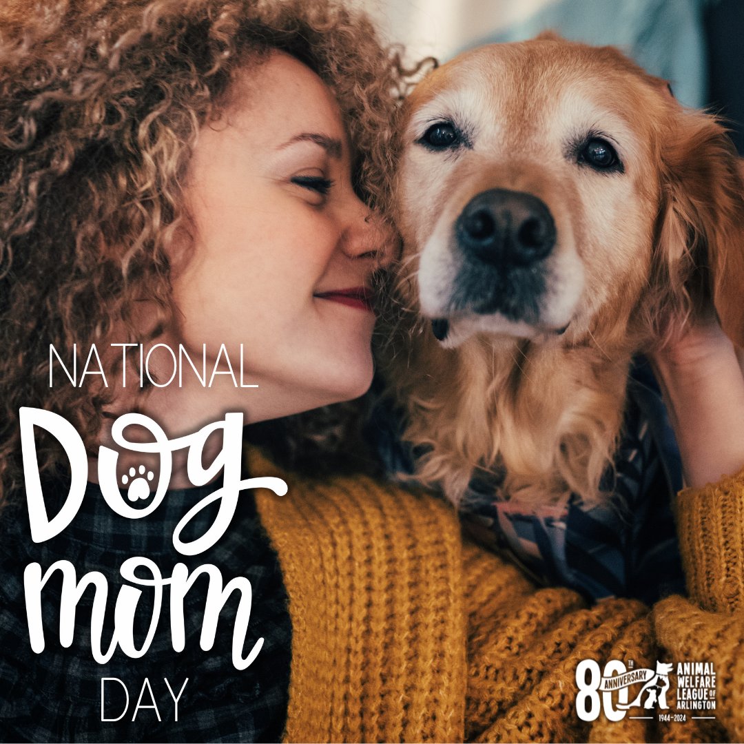 AWLAArlington's tweet photo. Happy #NationalDogMomDay to all the dog moms out there! We'd love for you to help us celebrate the day by replying with a photo of you and your dog (or just your dog) in the comments! 

Not a dog mom yet? We can help! Meet our adoptable dogs at https://t.co/LOjjNXA711 https://t.co/b74Gu6wuuj