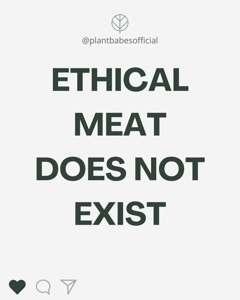 Do you agree? yes or no? 

#VeganLifestyle #Vegan #plantbased #AnimalRights