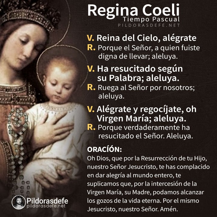 🐟# ReginaCoeli por: VENEZUELA Y EL MUNDO 🌎 ENTERO./Llenos están los cielos y la tierra de tu gloria. (Sal148).
 #NtraSraDeLujan🌹
#SanBonifacioIVPapa⛪️
#MiércolesDeSanJosé🌾
#YDeSanJudasTadeo🪓
#HazlaPrueba😋
#verásquébueno
#BeatoJoséGregorioHernández