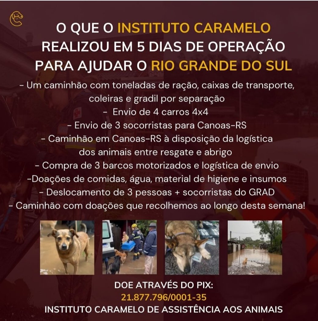 FabioPorchat's tweet image. Meu povo! Vocês estão acompanhando o trabalho de ajuda e resgates de animais no Rio Grande do Sul? 
Deixo aqui dois perfis que vocês podem ajudar! O Instituto Caramelo e a Deise Falci! 

Pix: deisefalci@gmail.com
Pix: 21.877.796/0001-35 Inst Caramelo