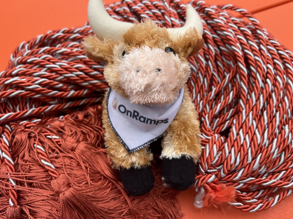 TexasOnRamps's tweet photo. What's burnt orange and white and on the way to 30,000 graduating seniors all across Texas? #OnRamps honor cords! We can't wait to see your grad photos. Tag us @TexasOnRamps. #Classof2024 https://t.co/YpGULg30Fu