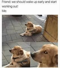 Or maybe no? 😆 #wokoutmemes #dogs #funnymeme