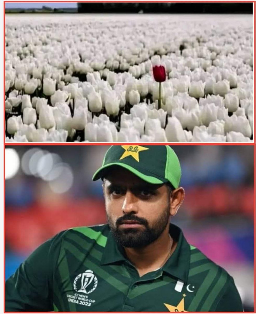 Ahmer015's tweet photo. He's One in a million ❤️
#BabarAzam𓃵  #cricket
#T20WorldCup24 https://t.co/EKuQot9853