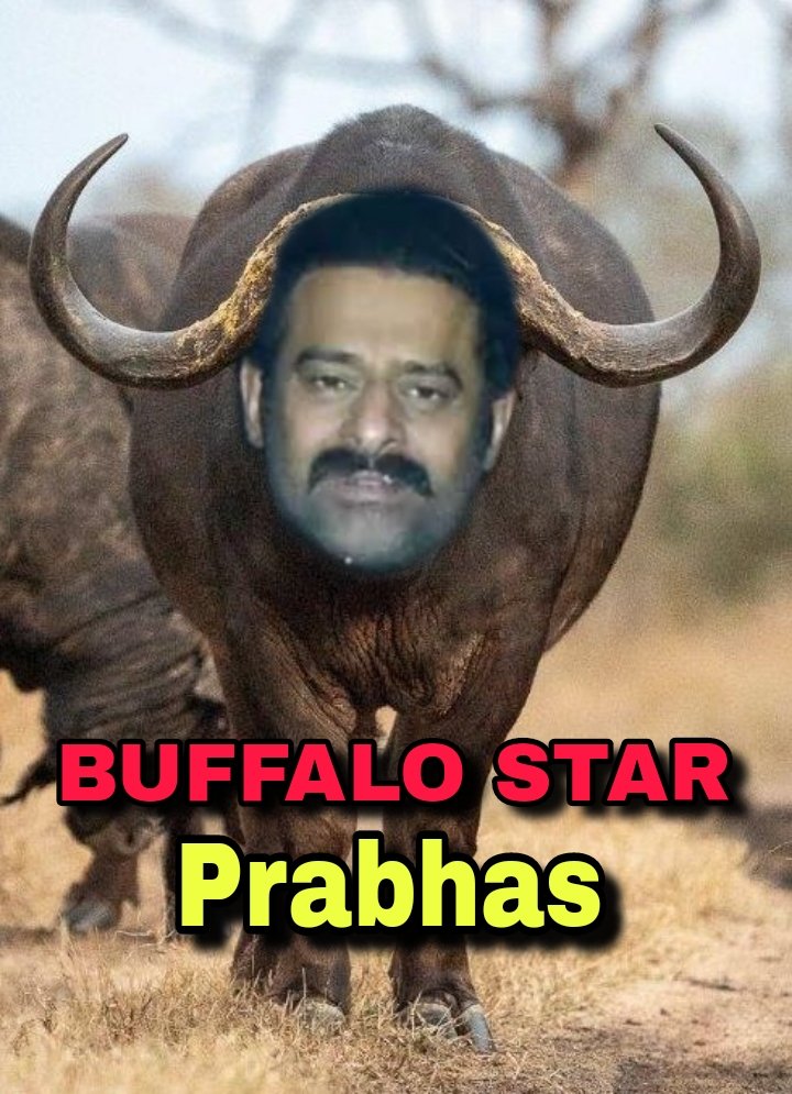 #BuffaloStarPrabhosda's Brand New Picture 🤡🤡🤣👇
#Prabhas #Prabhas𓃵 
#LottaryStarPrabhas 
#PerfectMatchExtra
#dictator
#Kalki2898AD 
#Kalki2898ADonJune27 
#Kalki2828AD
#12thExamResult
#Eurovision2024
#MetGala
#KanganaRanaut
#LovelyRunner
#matura2024 
BUFFALO STAR PRABHAS 🤡🤣