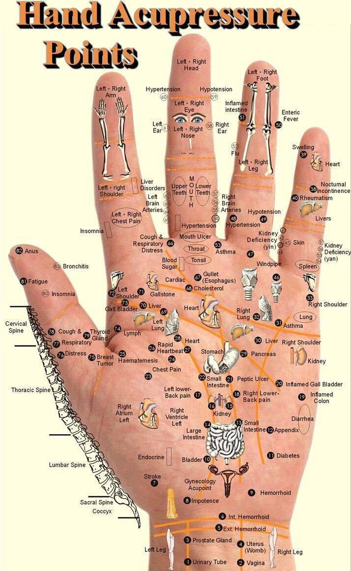 Hand acupressure points.  
The best way to stimulate them daily is to clap for 5 minutes at 1 clap per second in the morning or during your exercise..