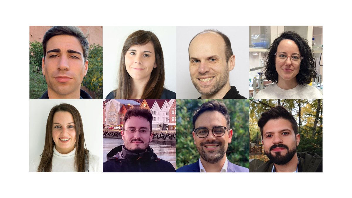 ienoruega's tweet photo. ¡Os presentamos la nueva Junta Directiva 2024-2025!  

Este será el equipo que hará posible el funcionamiento de la Asociación en los próximos 2 años 👉https://t.co/ecA16bx6O0

@Valero_Gracia, @garciadiaznuria, @RubeARC, @rusojulveF, Andrea, Manuel, Beatriz y Juan Manuel https://t.co/BamzlUT6iS