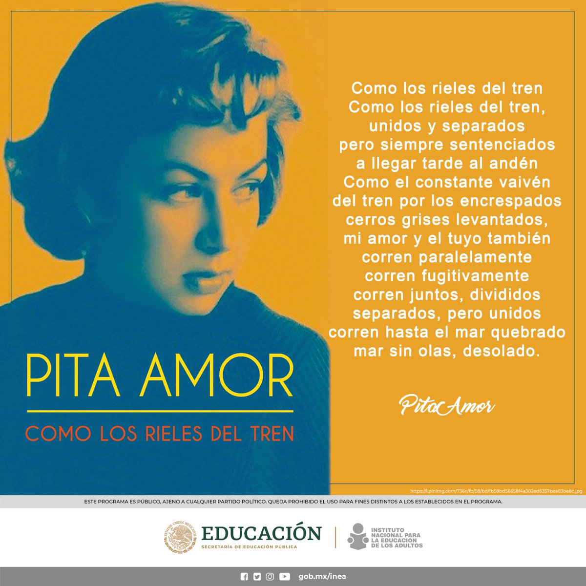 🗓️#UnDíaComoHoy, pero del 2000, muere Pita Amor, poeta mexicana que desafió las costumbres de su época con sus poemas y estilo de vida. La recordamos con uno de sus poemas destacados. ✍️🏻✨