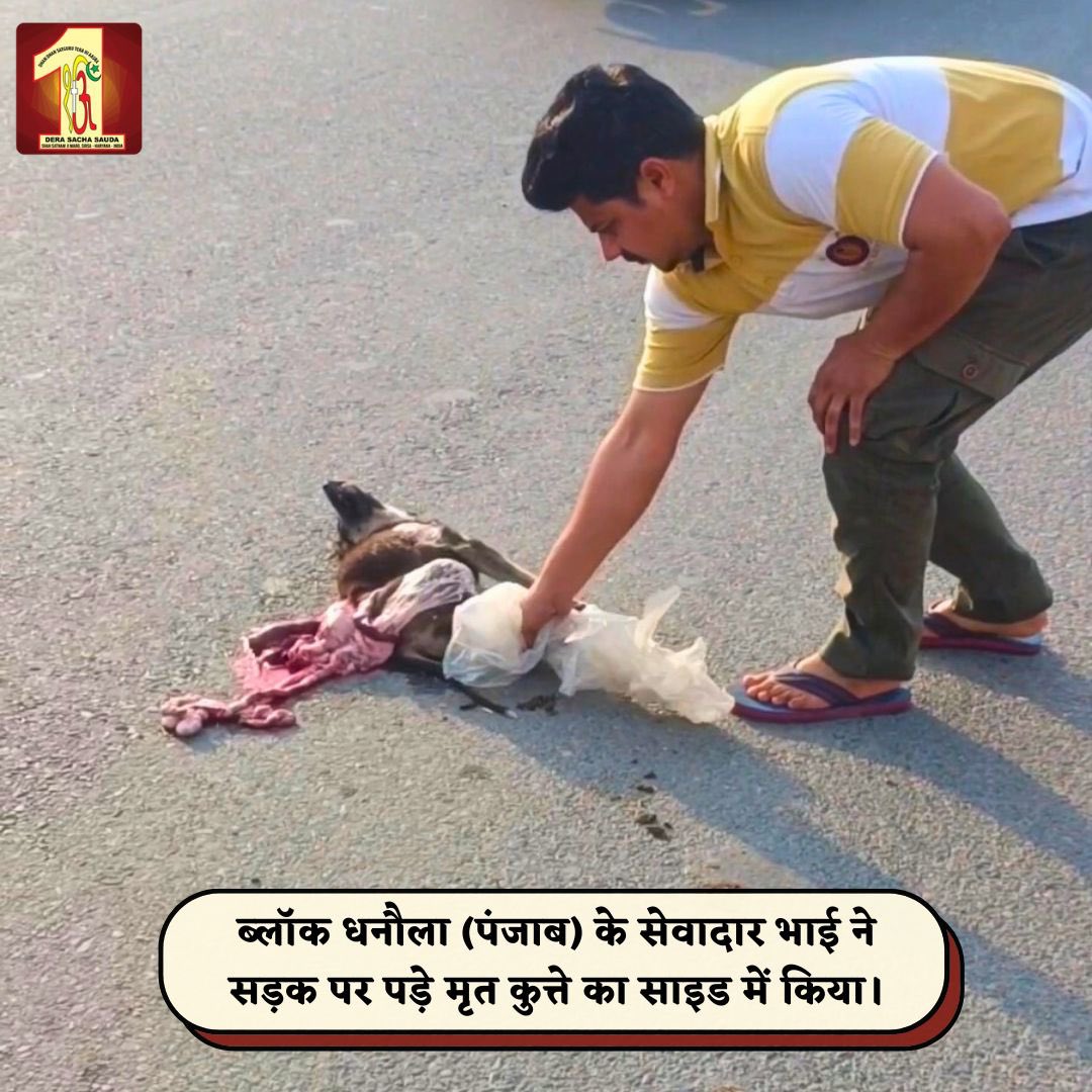 DSSNewsUpdates's tweet photo. Dera Sacha Sauda volunteers from Dhanaula &amp; Patran, Punjab, with immense kindness, ensured road safety by respectfully picking up and burying a deceased dog🐕. Their compassionate actions reflect deep community care. #Punjab #RoadSafety #AnimalWelfare #DeraSachaSauda https://t.co/IAchwessIO
