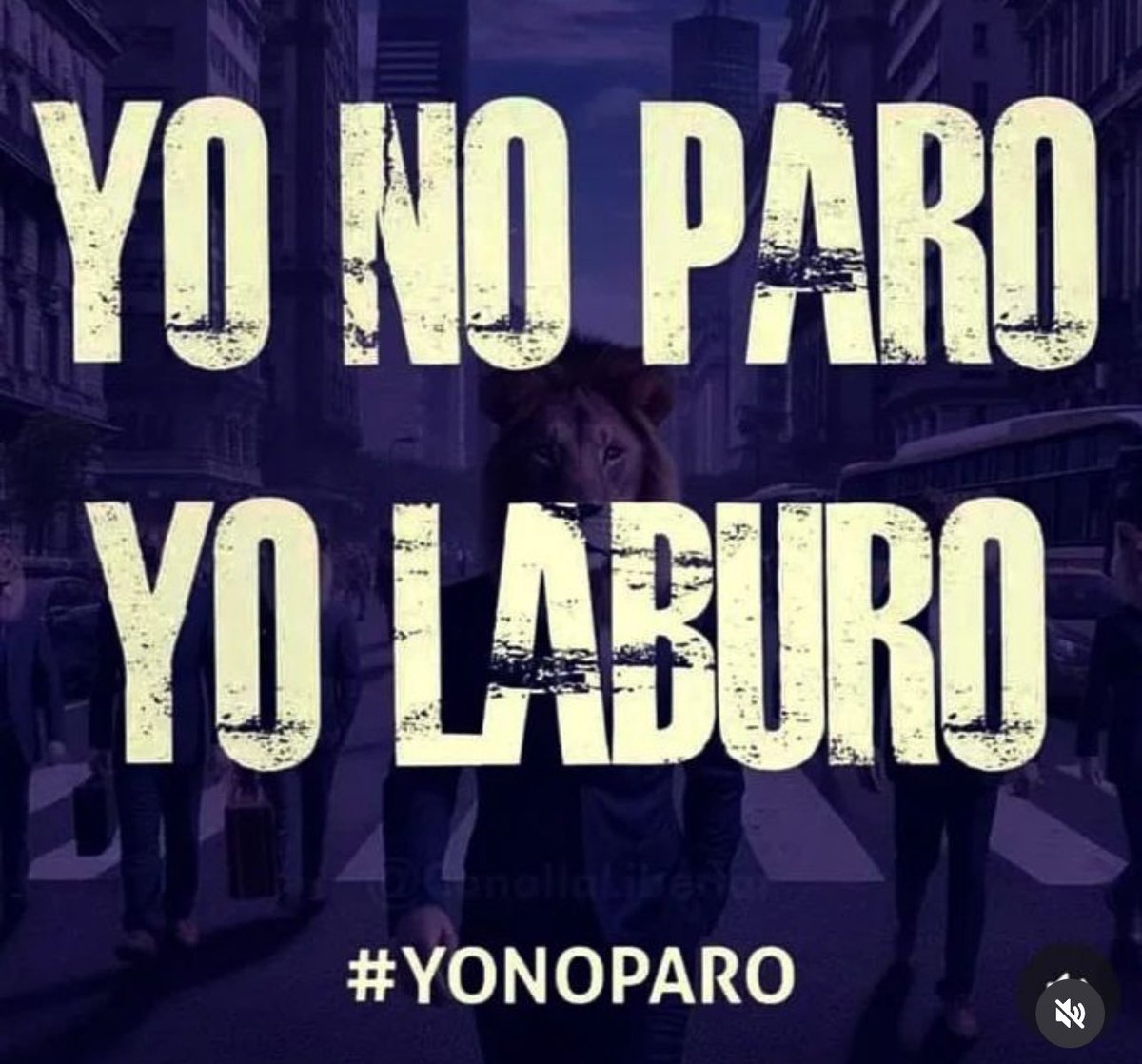 NapoliJuan's tweet photo. https://t.co/1sXIx1o7Se