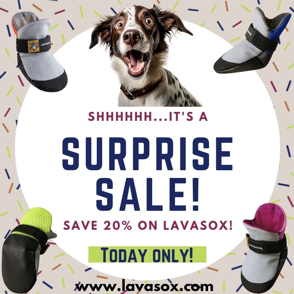 🥳 Surprise! 🎉 It's a Pop-Up Sale! 🥳 Save 20% on Lavasox...Today Only! Say hello 👋 to Lavasox Spring & Summer Boots - high-ventilation fabrics, stretchy closure system, durable, thin-sole design, ultra-grippy sole, and a built-in hear barrier - make Lavasox like no other.