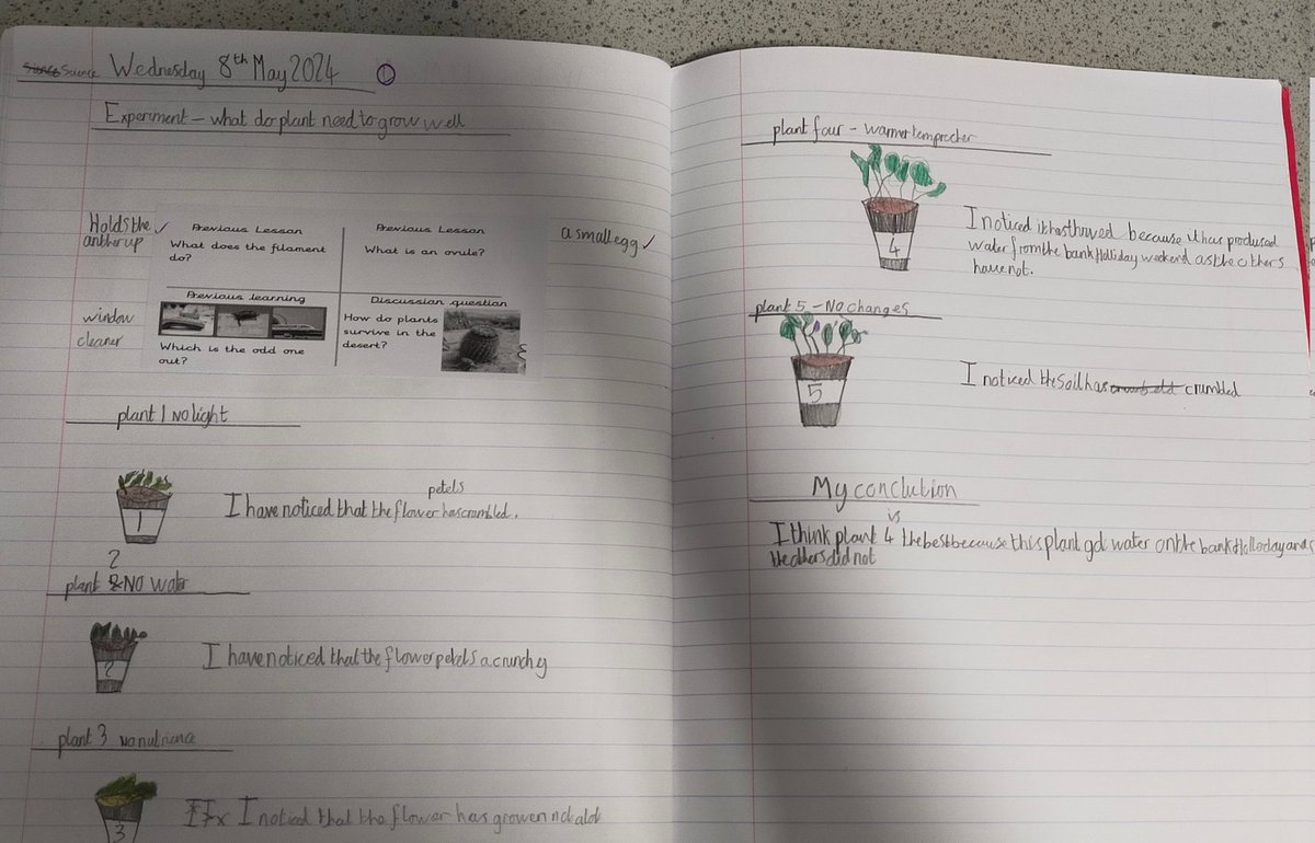 This afternoon in Science, we have written up our plant experiment. We had a surprise result, but discussed why this had happened. @PrimaryGreat #gcpscience