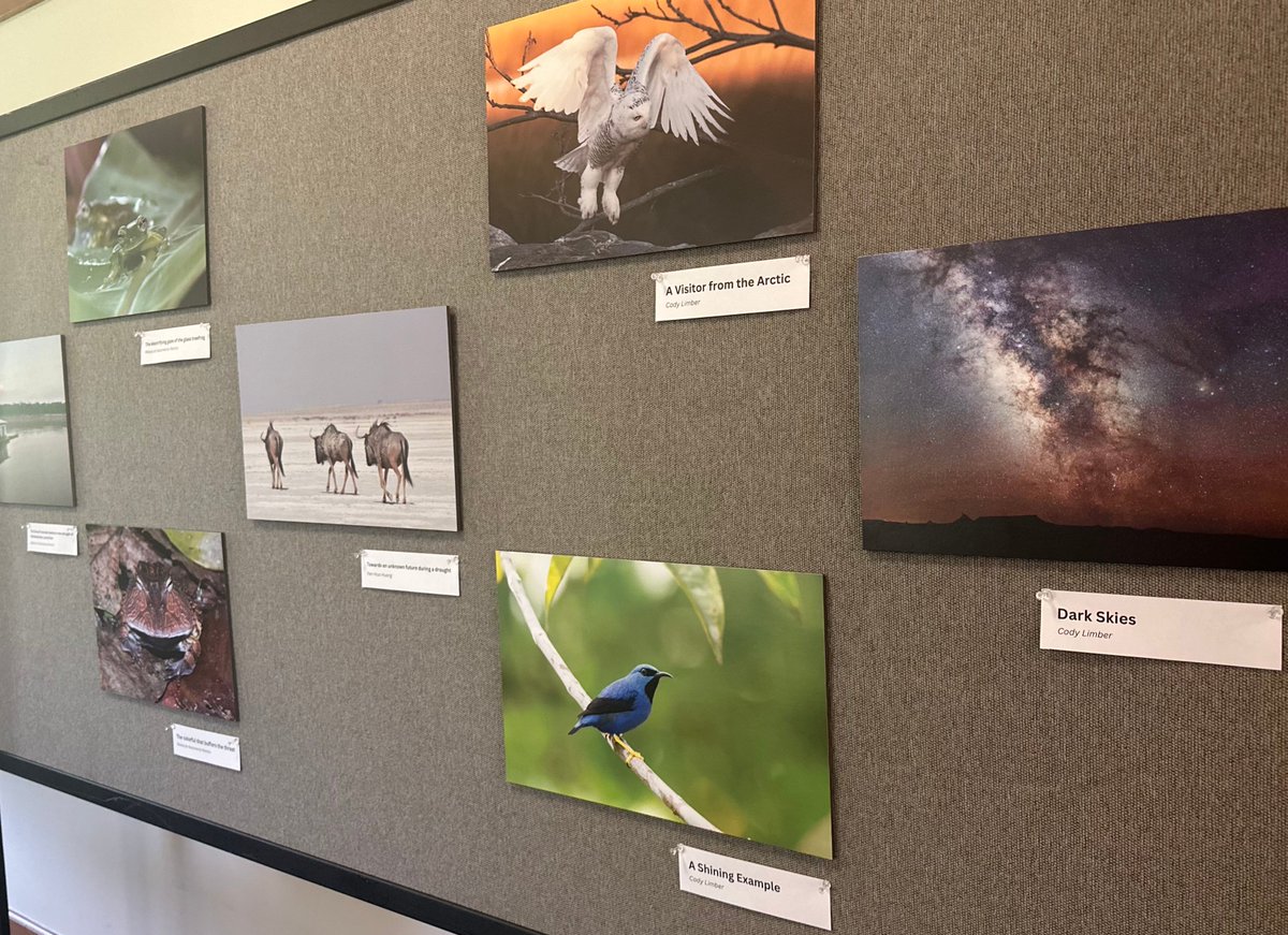 Yale Institute for Biospheric Studies tweet media