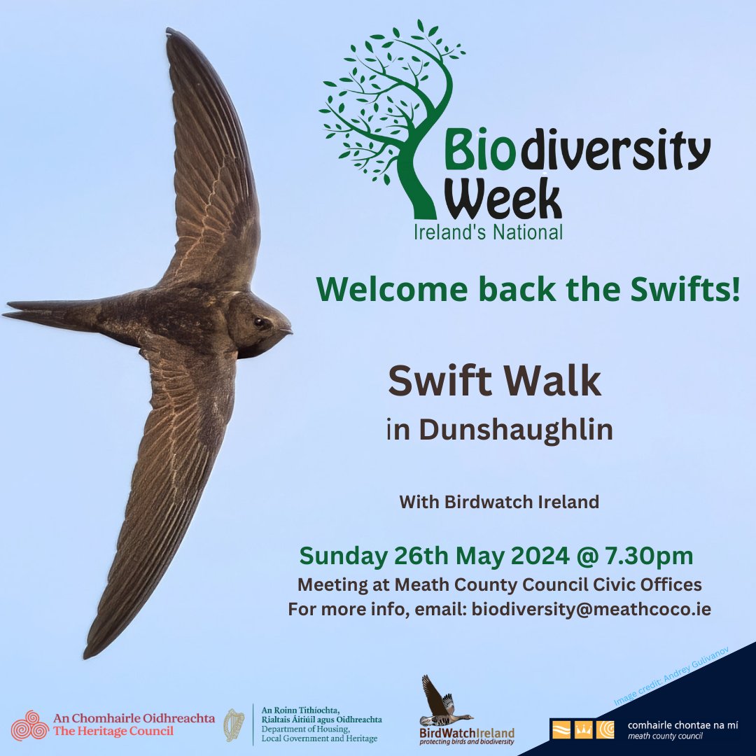 (KF) Join us tomorrow for this wonderful free event to celebrate the return of Swifts to Co. Meath and Biodiversity Week. Suitable for all ages.