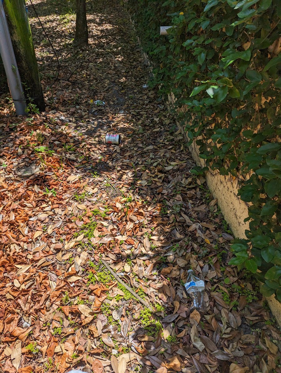 crferrie's tweet image. I did a bit of cleaning around my workplace! @cleanify_vet #sustainableactions #vechain #BeB3TR