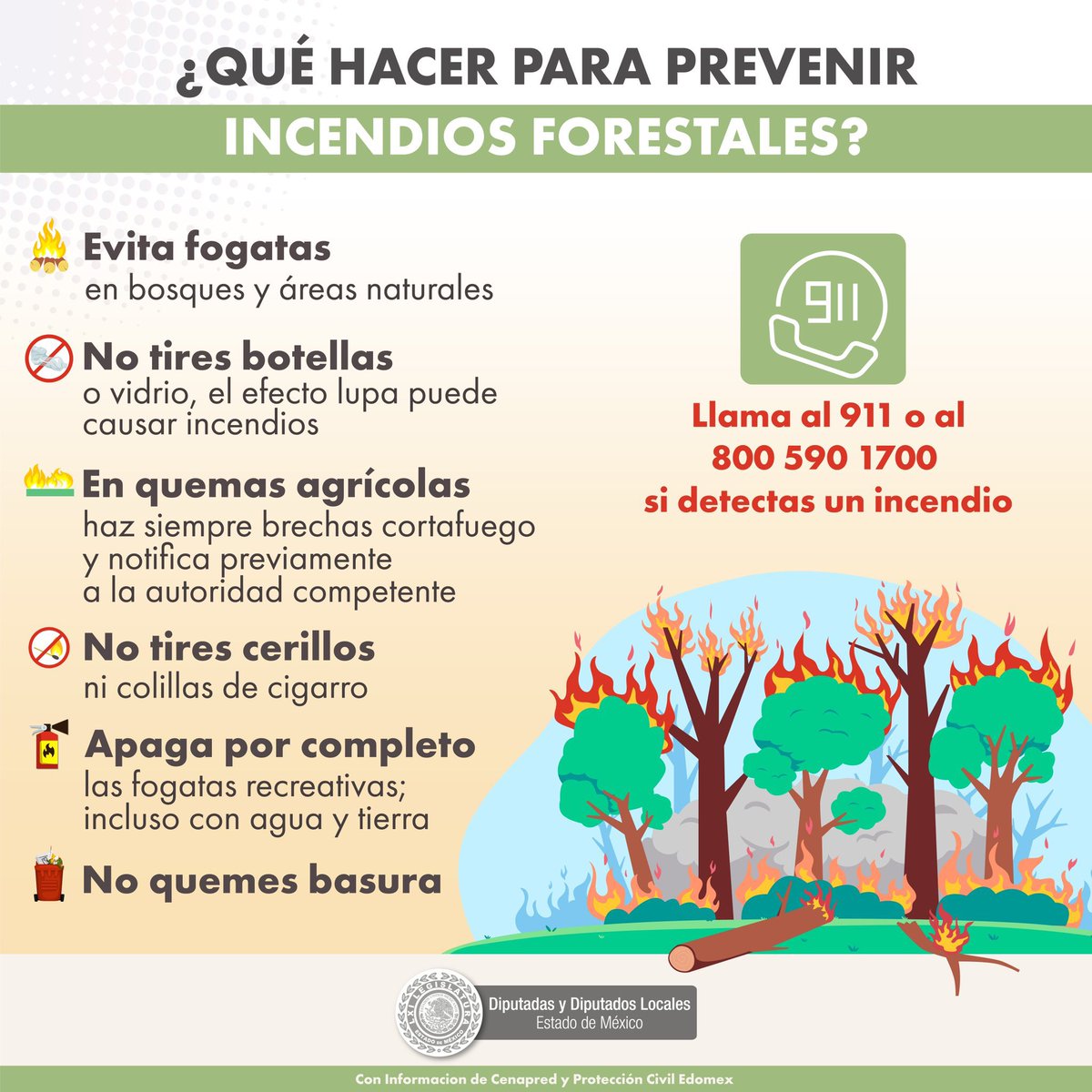 La temporada de calor está afectando nuestros bosques. 🌲🌲🔥🔥 Evitemos los #IncendiosForestales. Conoce las medidas de prevención que nos brinda #Cenapred. #CuidemosLaNaturaleza