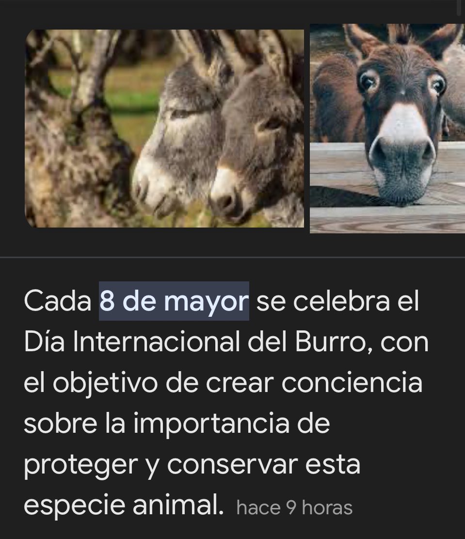 El chico temido tweet media