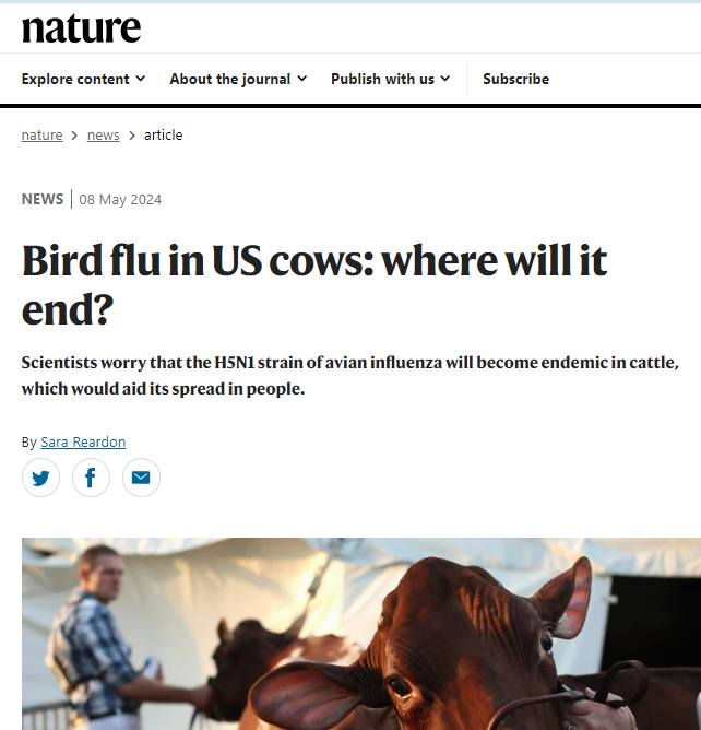 WARNING: Novel highly pathogenic bird flu may become endemic in cows which would provide the ideal 'viral reservoir' to create a super mutant human strain: Article warns that airborne spread has not been studied for flu (?!) and that human cases are highly likely to be much…