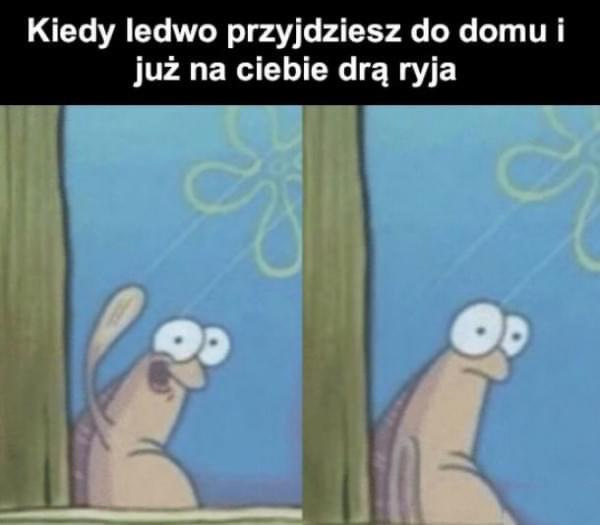 Birdcel1's tweet photo. @MurzynfrogXXX U mnie raczej coś takiego https://t.co/vmNSk7mCxw