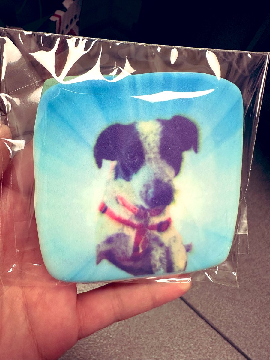 Alief CTE Vet Science tweet media