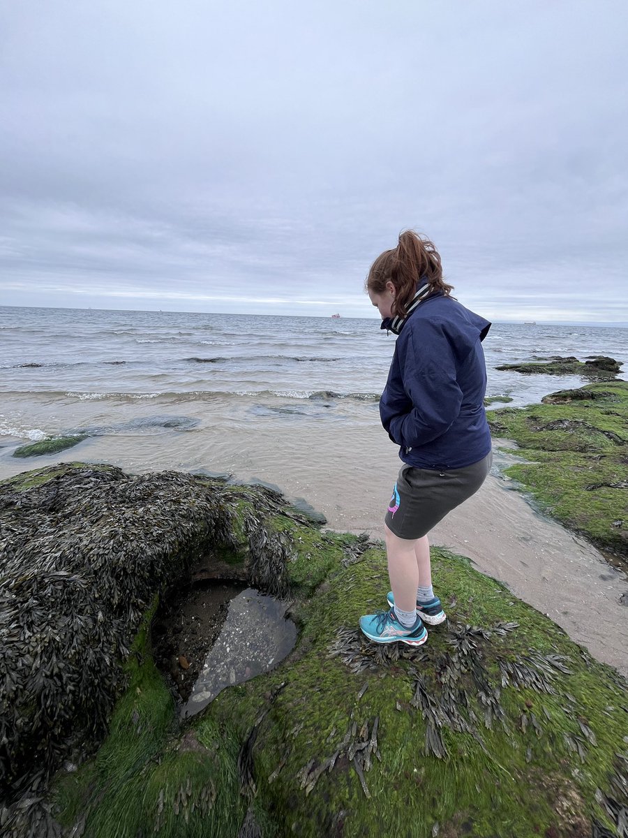 We went on a trip to Seafield beach yesterday to do some rock-pooling and play. Some even braved the chilly water 🥶🏖️🦀