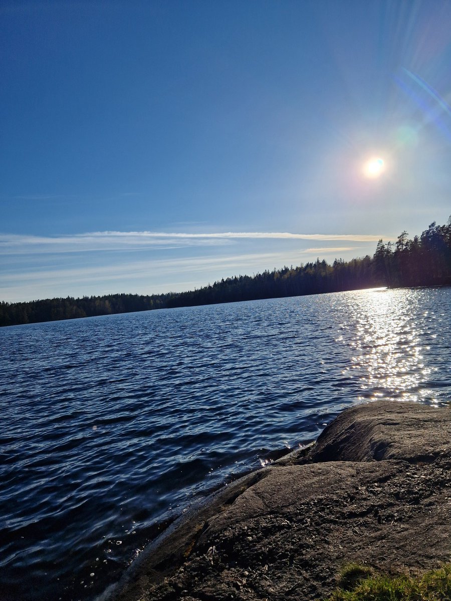 Kaikki oli hyvin kunnes näimme karhun pesän ja päätin lähteä 😂