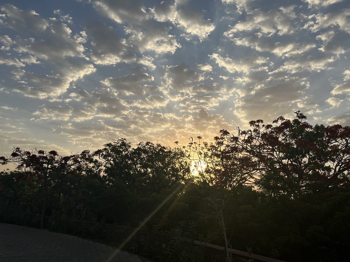 Signal_learner's tweet photo. #theananta #morning #udaipur https://t.co/KHoJj0gBPm
