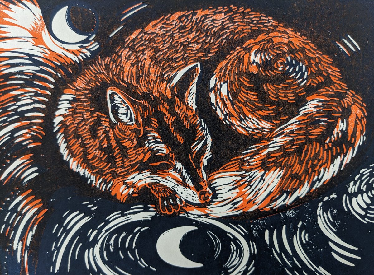 'Fox dreaming of the Moon' 🦊🐾🌑 #NewMoon 1/2