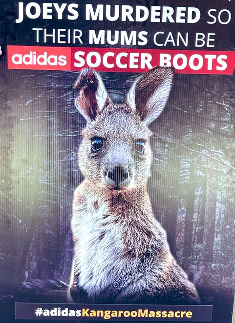 Please BOYCOTT @adidas

They’re still murdering kangaroos for the sake of soccer boots. All other shoe manufacturers have moved on and evolved! Come on #Adidas! 😡💔

#AdidasKangarooMassacre #BoycottAdidas #LiveVegan