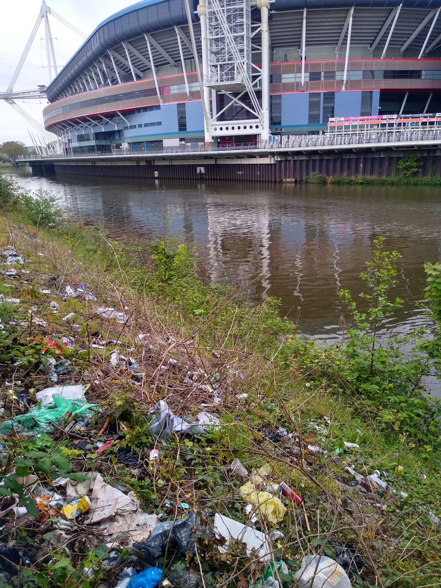#Cardiff has split personality on environment. Wetlands by Cardiff Bay are full of life. Plus wildlife friendly mowing 👍 BUT upstream #plastic pollution/litter on banks of River Taff in #Cardiff centre shocking. We need to look after whole catchment! @cardiffcouncil over to you