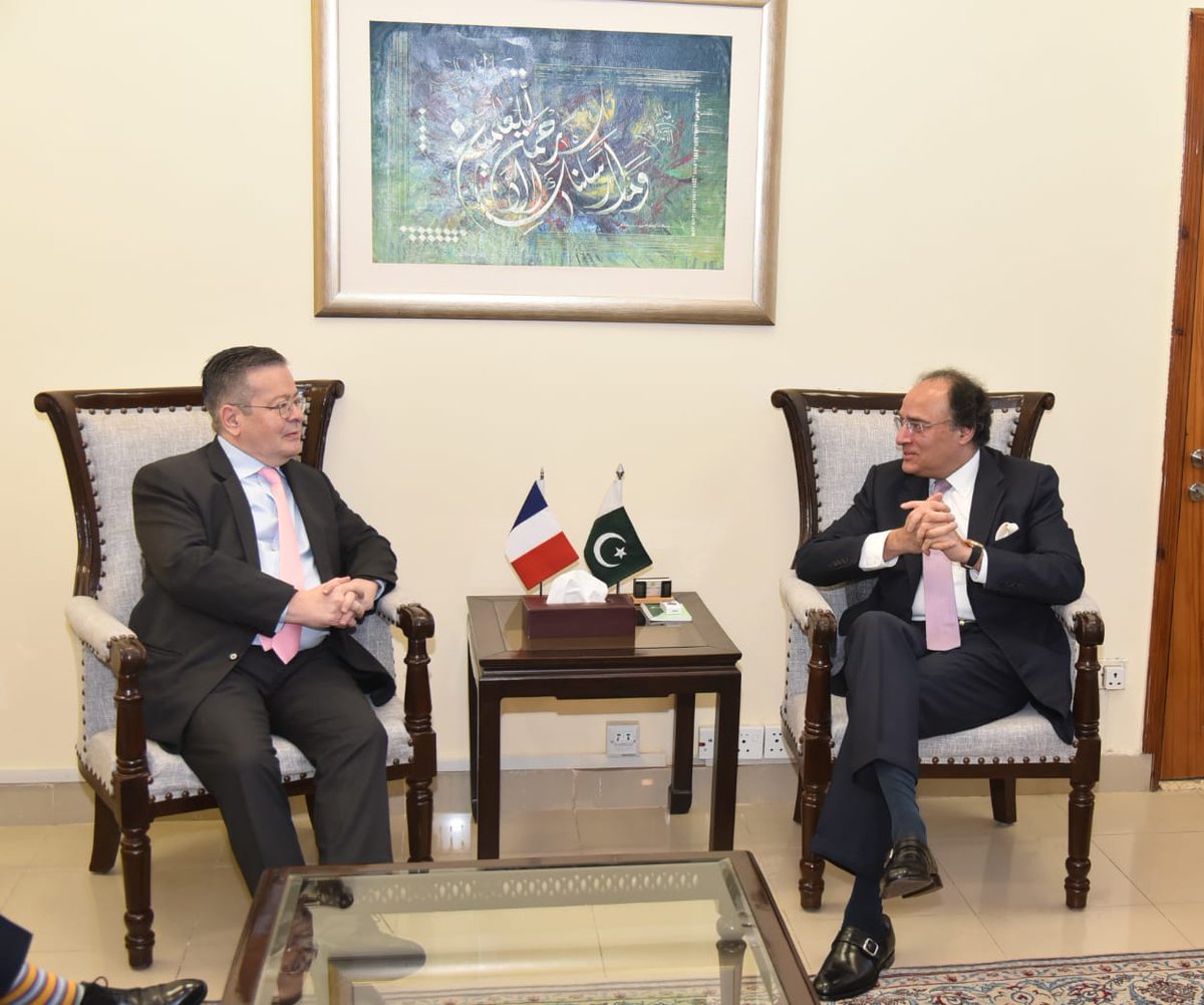 Federal Minister for Finance & Revenue Senator Muhammad Aurangzeb was called on by French Ambassador Nicholas Galey, highlighting strong bilateral ties and shared commitment to bolster economic cooperation.
